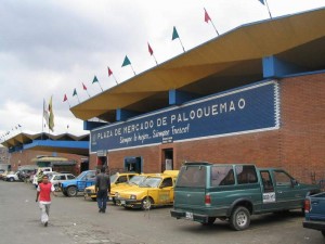 Paloquemao