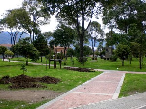Árboles para Bogotá