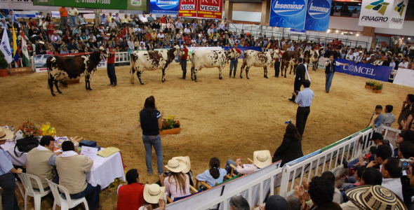 Agroexpo en Corferias