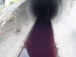 contaminan canal los Ángeles