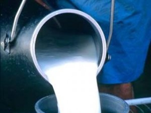 Trabajo con productores de leche