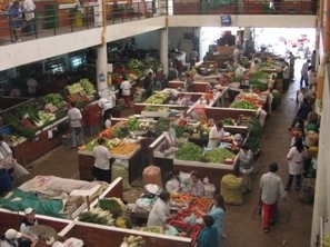 Renuevan cédulas en plazas de mercado