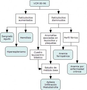 Anemia en Colombia