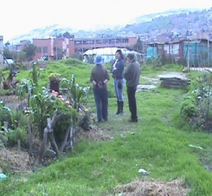 Agricultura urbana en Ciudad Bolívar