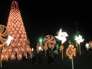 Parque El Tintal