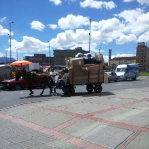 Vehículos de tracción animal