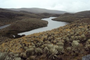 Páramo de Sumapaz