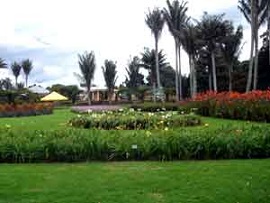 Jardín Botánico