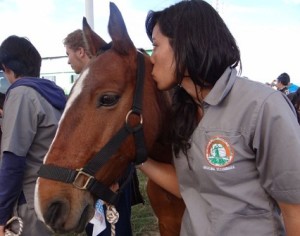 Adopción de caballos en Bogotá