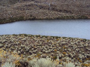 Agua en Bogotá