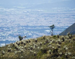 Vereda Verjón Bajo