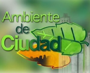 Gestión ambiental urbana