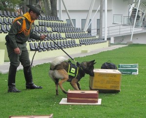 Detección de contrabando de especies animales