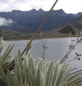 Resrrva en localidad de Sumapaz