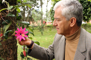 passiflora e investigador