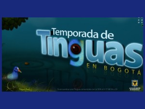 Tinguas en Bogotá