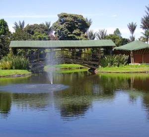 Arte y naturaleza en el Jardín Botánico