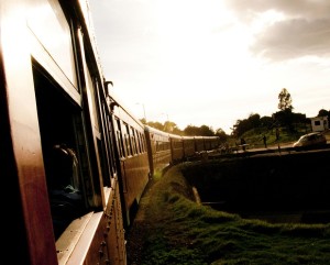 Tren de la sabana