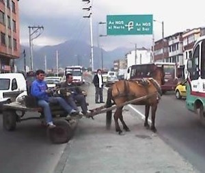 Vehículo de tracción animal