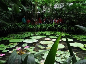 Herbario Jardín Botánico de Bogotá