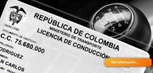 Licencias de conducción