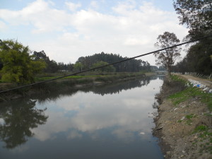 rio Bogotá