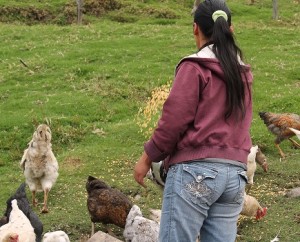 Proyectos para mujeres de Sumapaz