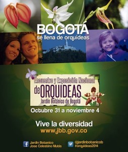 Exposición de orquídeas