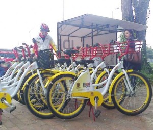 Bicicorredor El Tunal