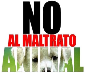 Maltrato animal