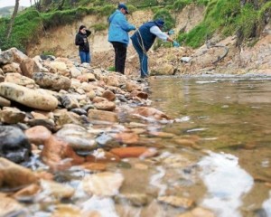 Voluntariado ambiental