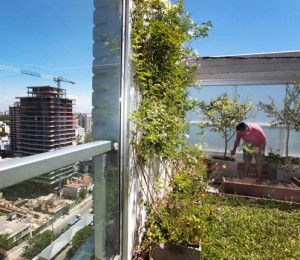 Agricultura urbana