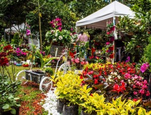 Jardín Botánico 1