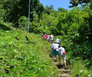 Caminata ecológica en Bogotá