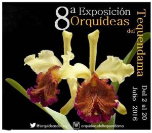 Exposición de orquídeas - copia